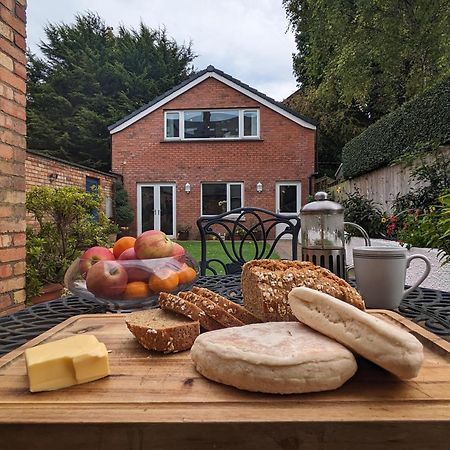 Bt 9 Granny Flat & Walled Garden Belfast Bagian luar foto