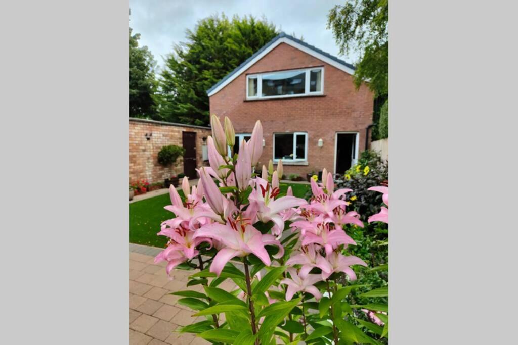 Bt 9 Granny Flat & Walled Garden Belfast Bagian luar foto