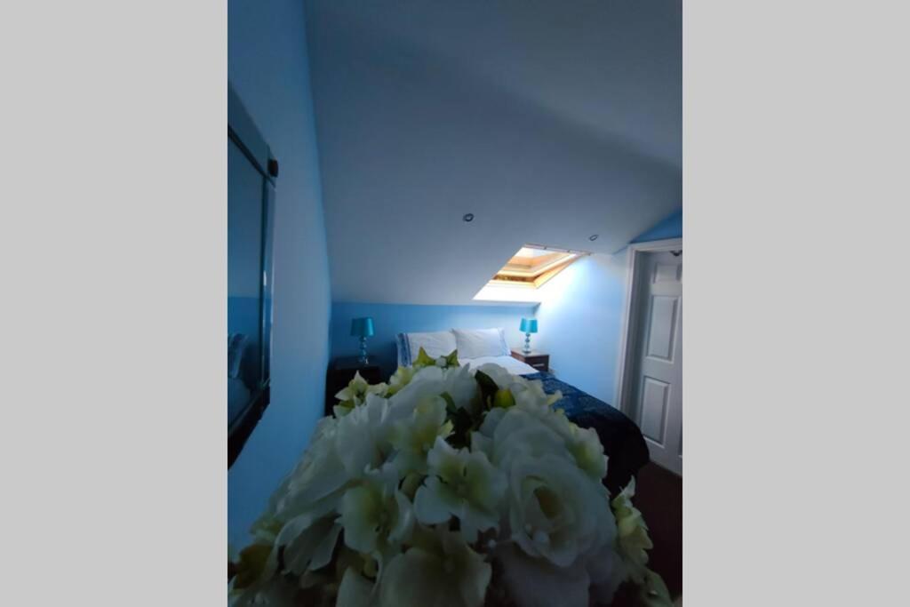 Bt 9 Granny Flat & Walled Garden Belfast Bagian luar foto