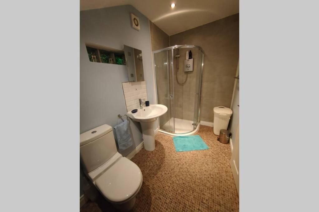 Bt 9 Granny Flat & Walled Garden Belfast Bagian luar foto
